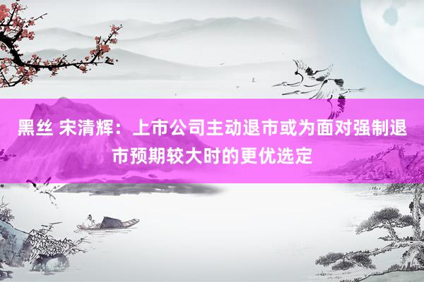 黑丝 宋清辉：上市公司主动退市或为面对强制退市预期较大时的更优选定