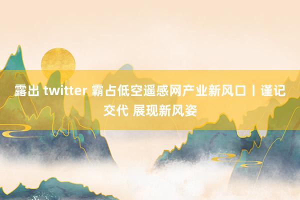 露出 twitter 霸占低空遥感网产业新风口丨谨记交代 展现新风姿