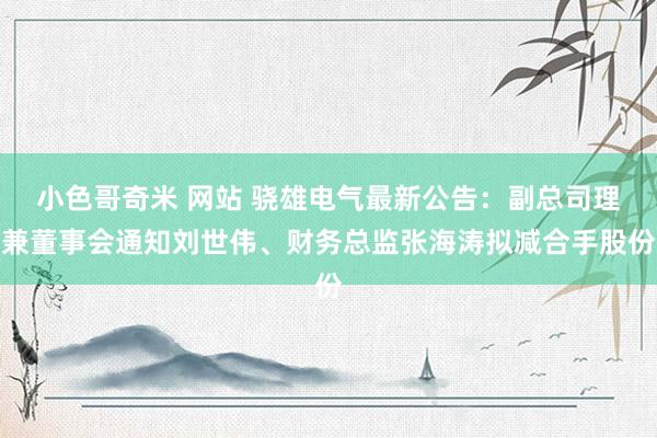 小色哥奇米 网站 骁雄电气最新公告：副总司理兼董事会通知刘世伟、财务总监张海涛拟减合手股份