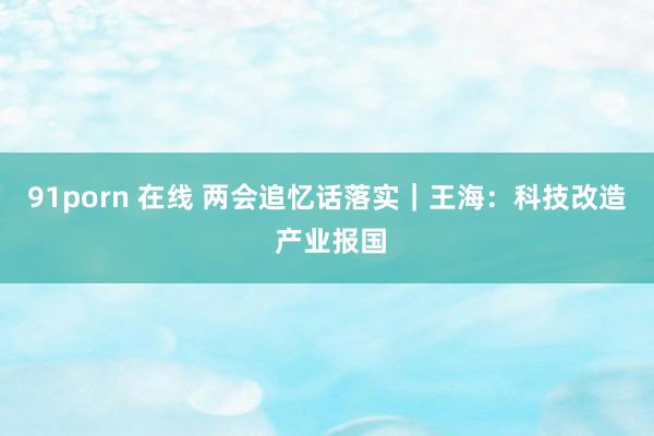 91porn 在线 两会追忆话落实｜王海：科技改造 产业报国