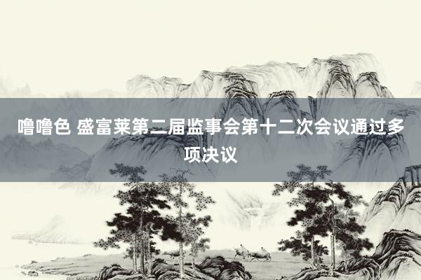 噜噜色 盛富莱第二届监事会第十二次会议通过多项决议