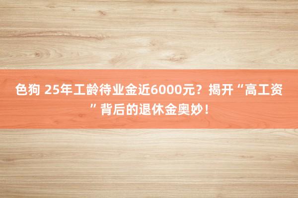 色狗 25年工龄待业金近6000元？揭开“高工资”背后的退休金奥妙！
