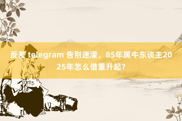 反差 telegram 告别迷濛，85年属牛东谈主2025年怎么借重升起？