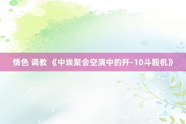 情色 调教 《中埃聚会空演中的歼-10斗殴机》