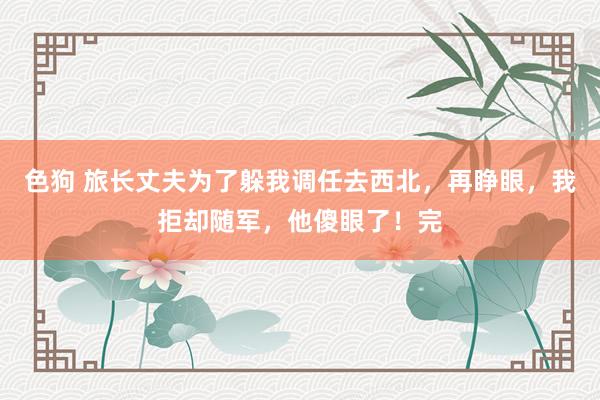 色狗 旅长丈夫为了躲我调任去西北，再睁眼，我拒却随军，他傻眼了！完