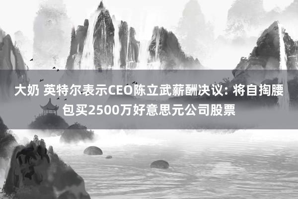 大奶 英特尔表示CEO陈立武薪酬决议: 将自掏腰包买2500万好意思元公司股票