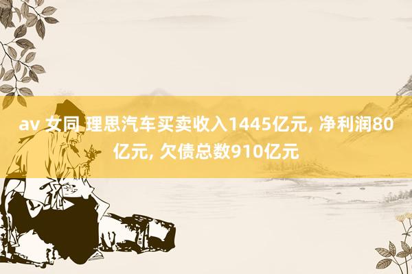 av 女同 理思汽车买卖收入1445亿元, 净利润80亿元, 欠债总数910亿元
