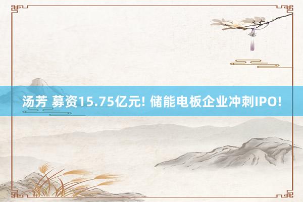汤芳 募资15.75亿元! 储能电板企业冲刺IPO!