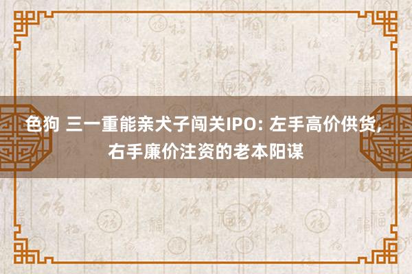 色狗 三一重能亲犬子闯关IPO: 左手高价供货, 右手廉价注资的老本阳谋