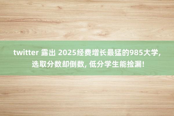 twitter 露出 2025经费增长最猛的985大学, 选取分数却倒数, 低分学生能捡漏!