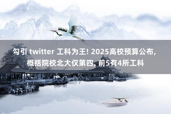 勾引 twitter 工科为王! 2025高校预算公布, 概括院校北大仅第四, 前5有4所工科