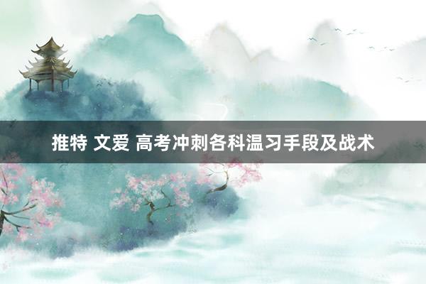 推特 文爱 高考冲刺各科温习手段及战术