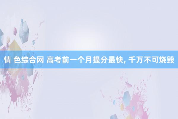 情 色综合网 高考前一个月提分最快, 千万不可烧毁