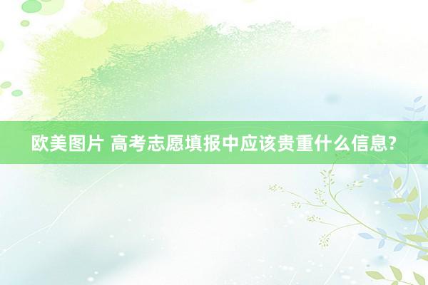 欧美图片 高考志愿填报中应该贵重什么信息?