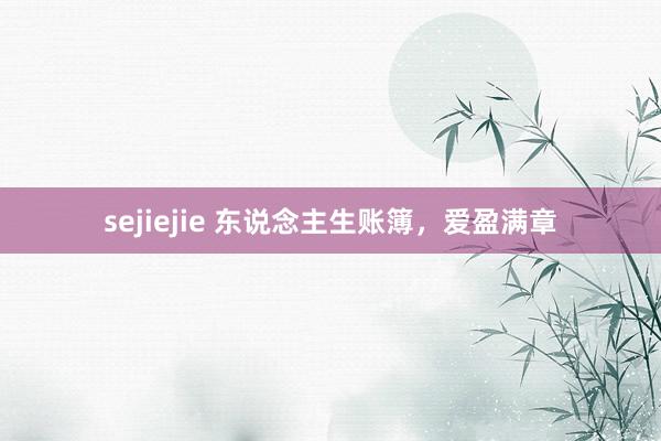 sejiejie 东说念主生账簿，爱盈满章