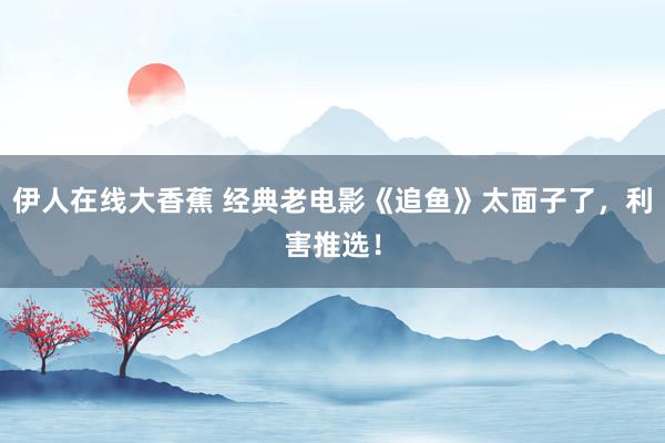 伊人在线大香蕉 经典老电影《追鱼》太面子了，利害推选！
