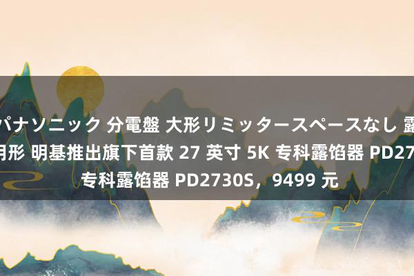 パナソニック 分電盤 大形リミッタースペースなし 露出・半埋込両用形 明基推出旗下首款 27 英寸 5K 专科露馅器 PD2730S，9499 元