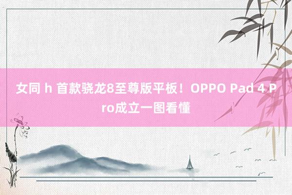 女同 h 首款骁龙8至尊版平板！OPPO Pad 4 Pro成立一图看懂