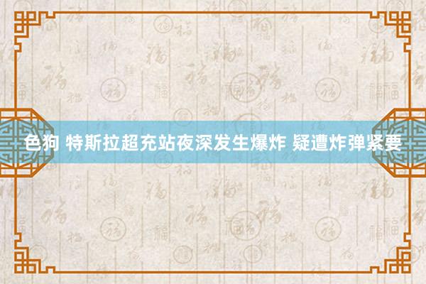 色狗 特斯拉超充站夜深发生爆炸 疑遭炸弹紧要